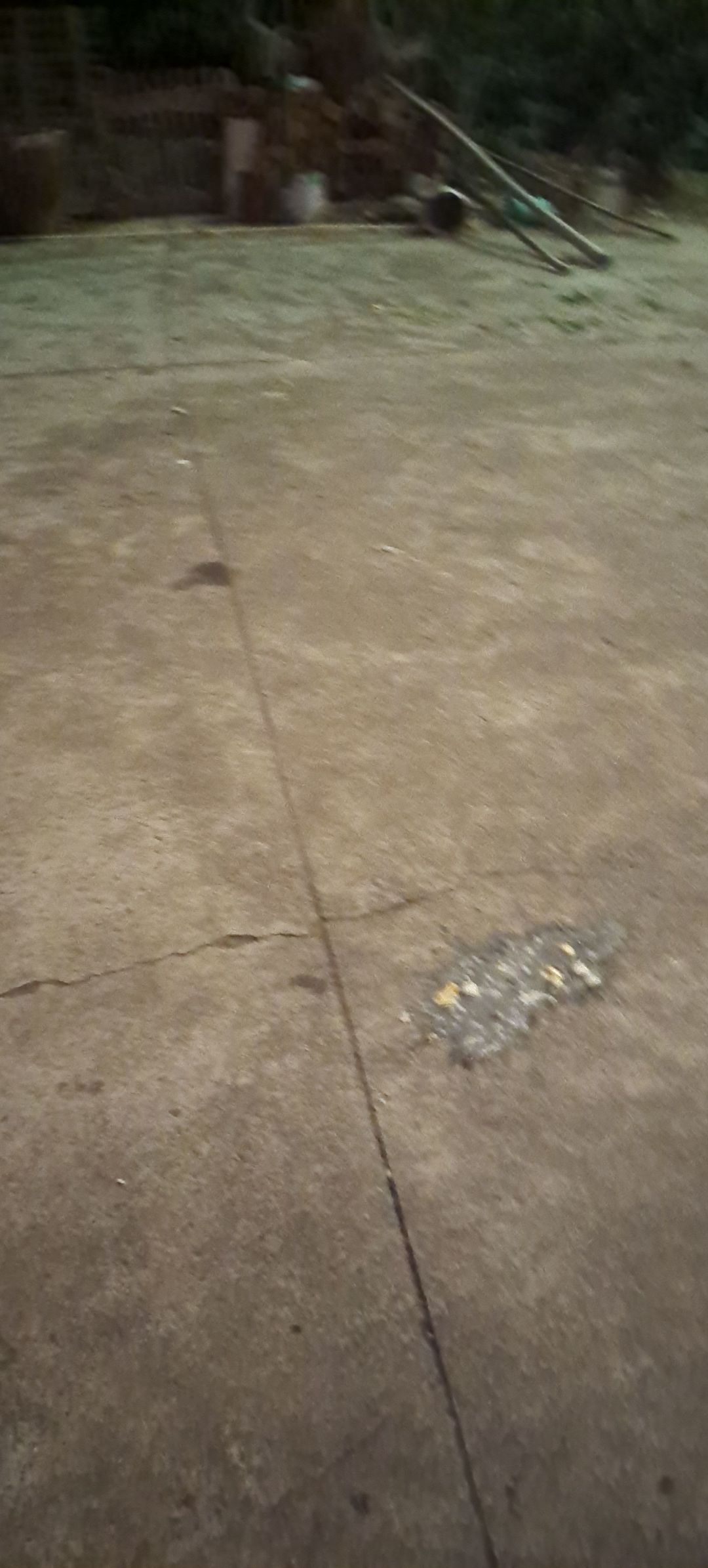动态图片 18