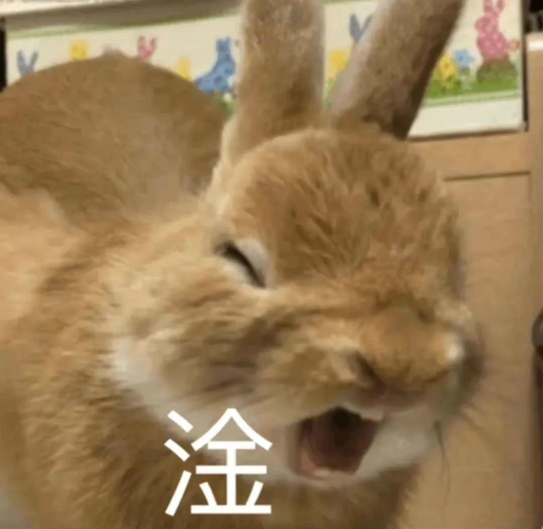动态图片 4