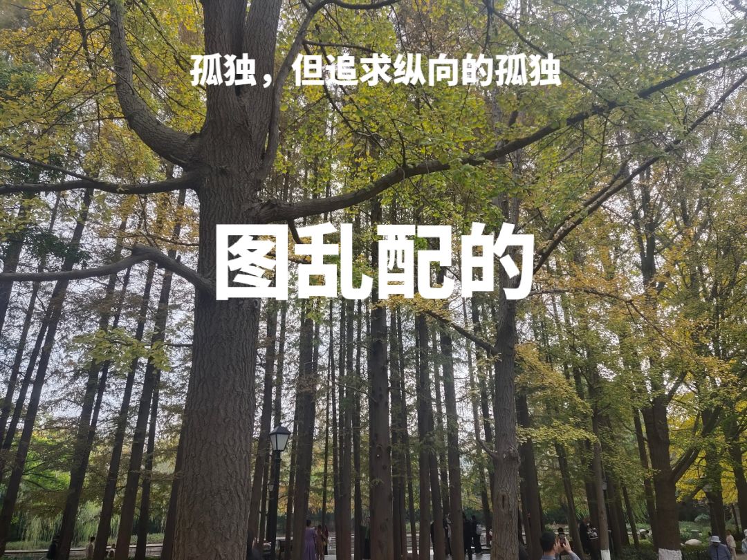 关于玻璃为何渴望百叶窗,我想说 1