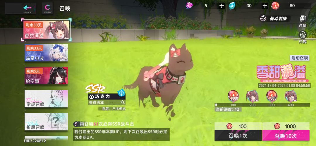 猫之城香草，巧克力，可可 2