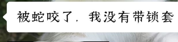 双女娲 1