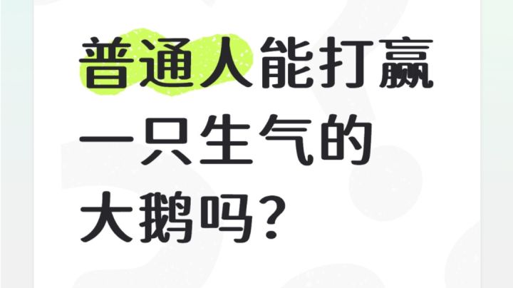 普通人能打赢一只生气的大鹅吗?截图