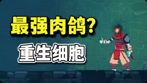 steam经典移植!taptap常年霸榜!肉鸽界顶流!好游戏不容错过!截图