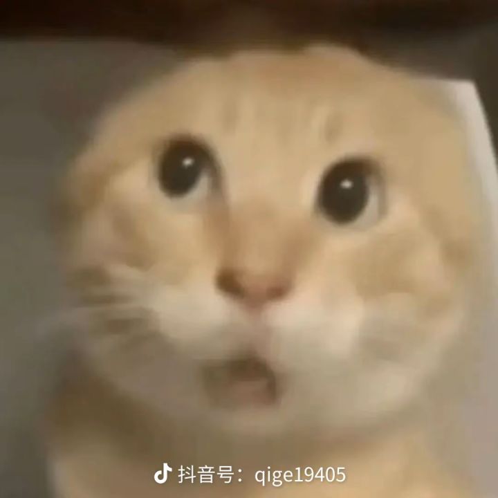 请问愿望清单设置什么呀截图