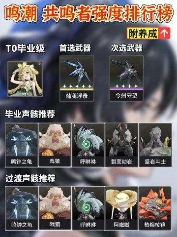 「鸣潮」5星全共鸣者强度排行养成推荐
