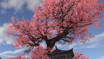 绿化与优化：永劫无间手游最生草的一集！