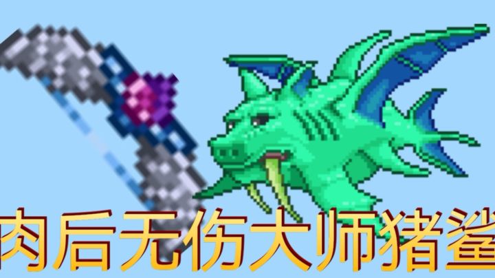 萌新肉后无伤大师猪鲨截图