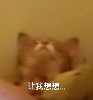 牌局是有人会组队一致对外是吗?截图
