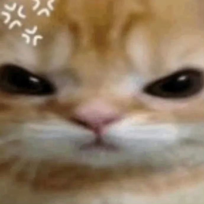 快更新!!!!! 1