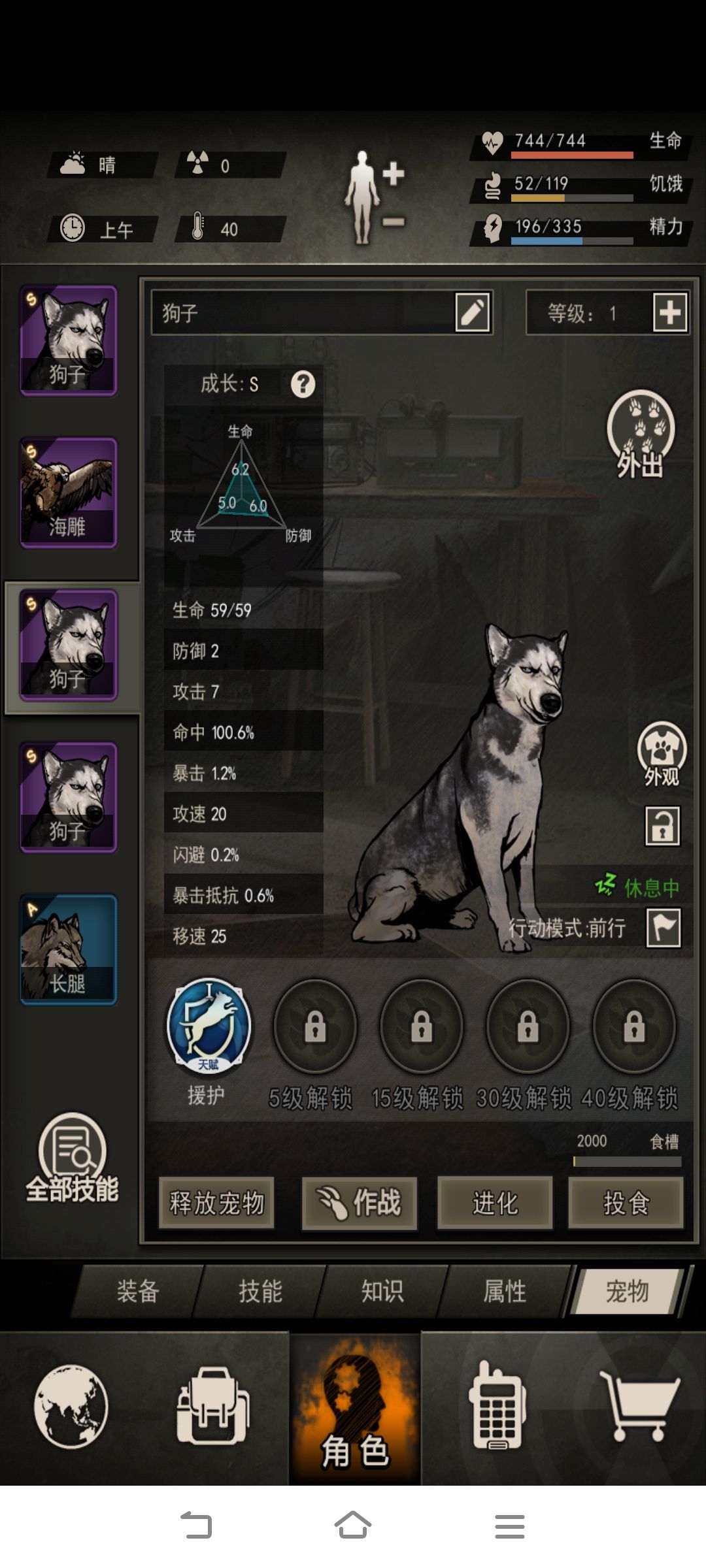 二哈一家 3