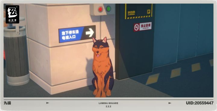 第一次看见🐶截图