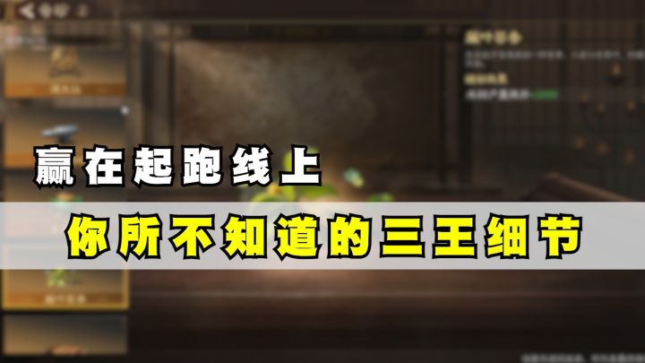 赢在起跑线!你所不知道的三王细节截图