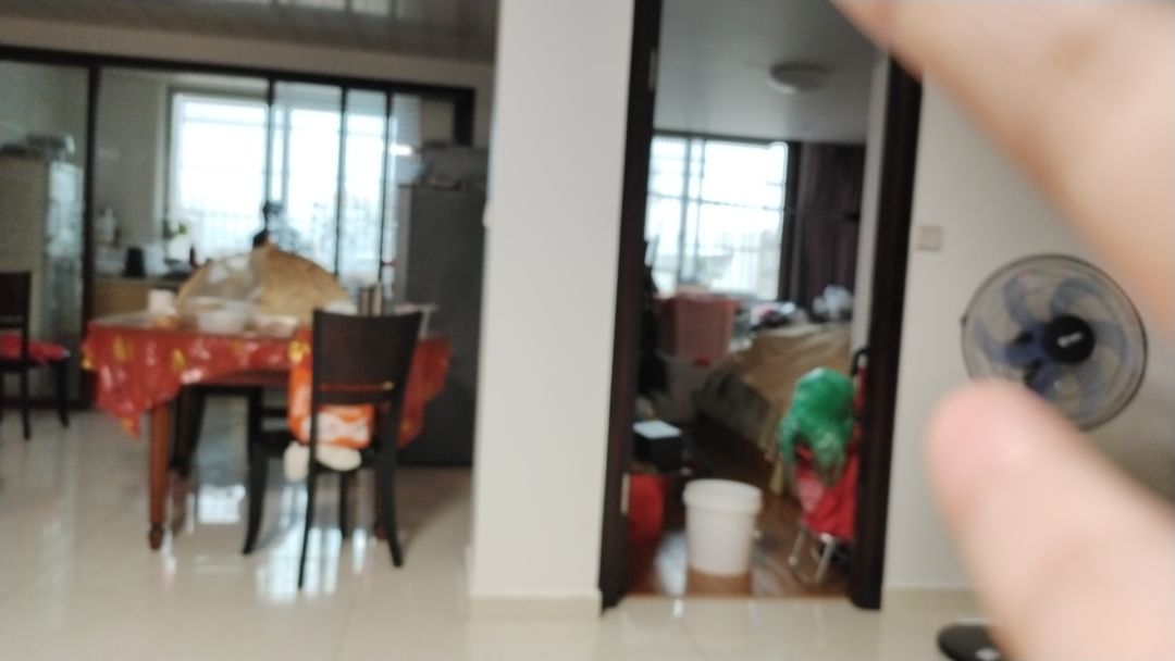 动态图片 6