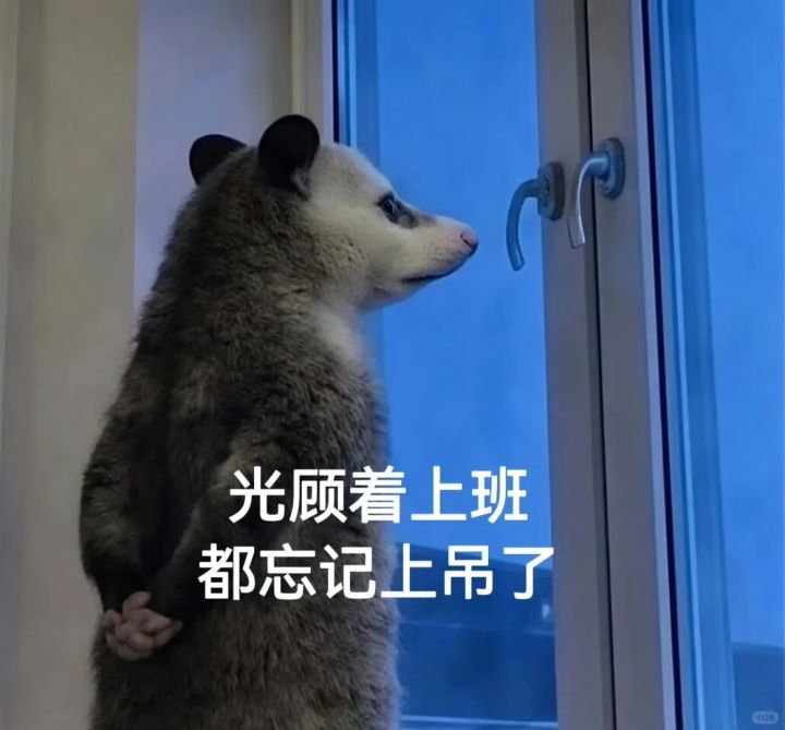 这个表情包最近繁殖太快啦截图