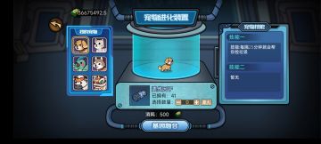 宠物进化+强度排名