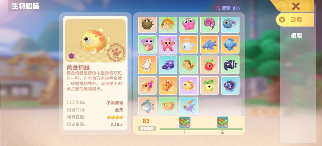 动态图片 3