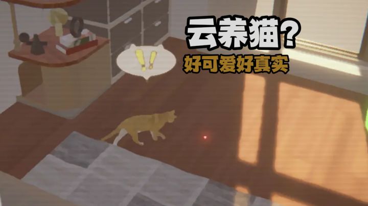 我宣布：我赛博养猫啦❗截图
