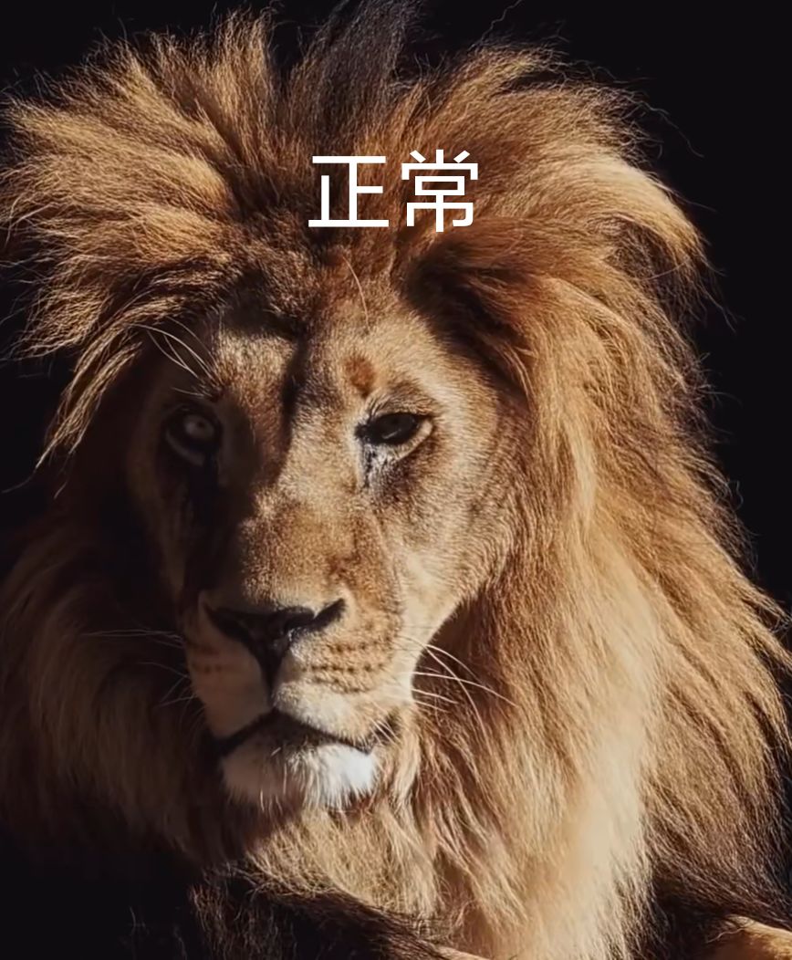让策划看下现在狮玄的建模多需要全改 1