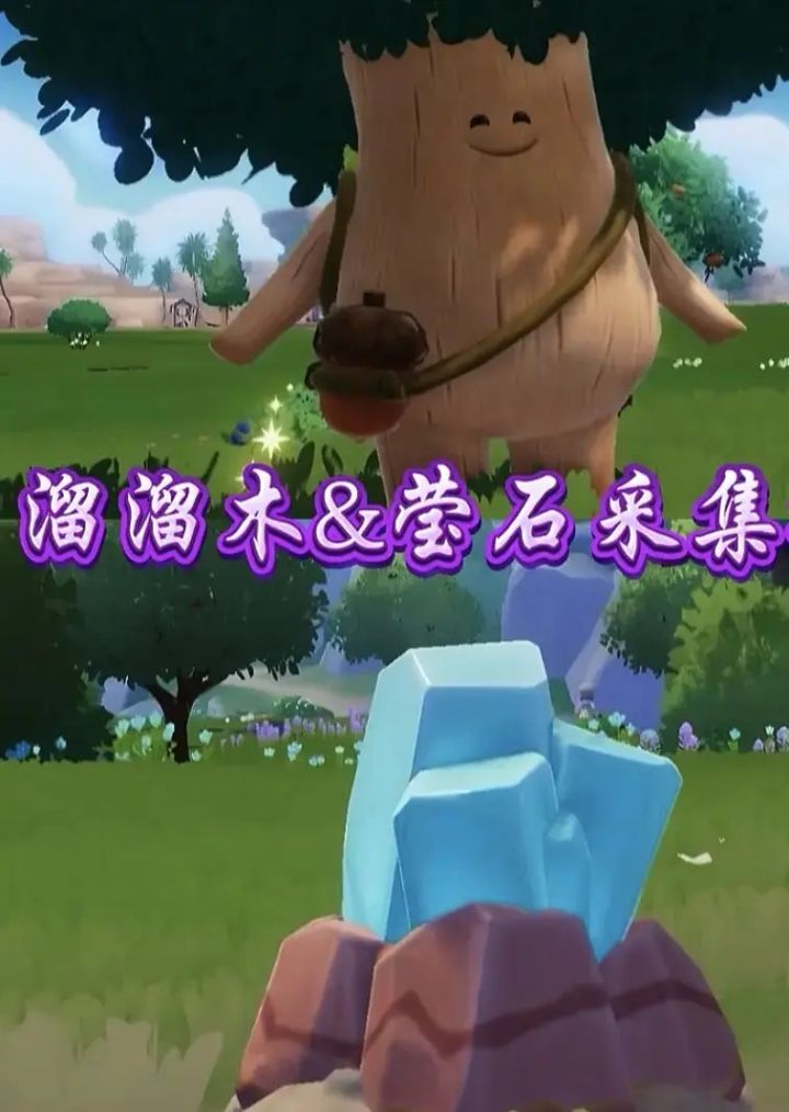 10月9日溜溜木和萤石位置截图