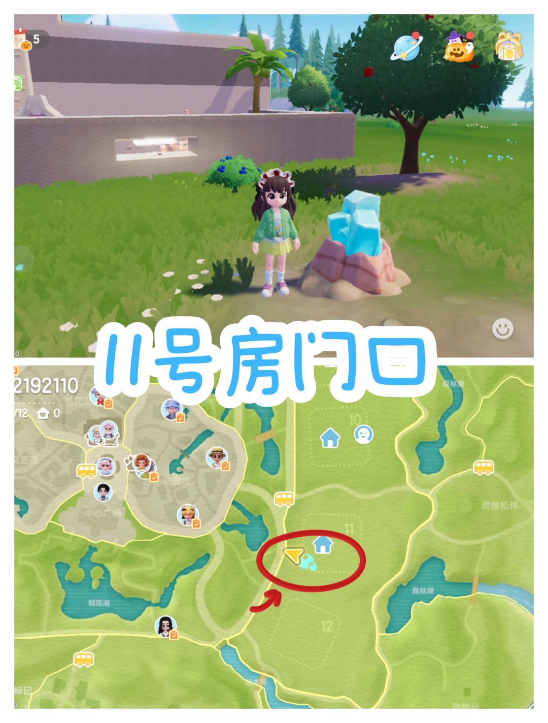10.23兑换码来啦❗️萤石/溜溜橡木位置❗️ 2