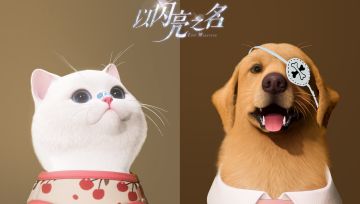 传下去！以闪亮之名首批宠物商店时装不要钱栗可穿！