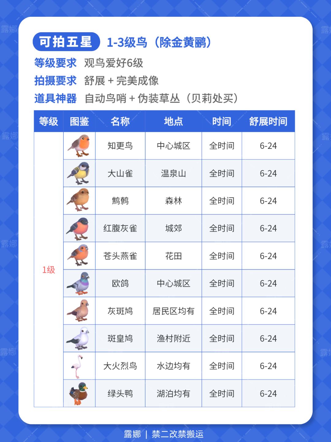 心动小镇 6月6日 下雨天必做攻略 鸟虫鱼 8