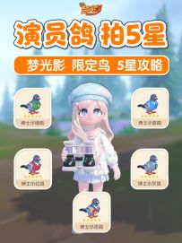 梦光影 限定鸟 演员鸽 5星详细攻略 观鸟5星
