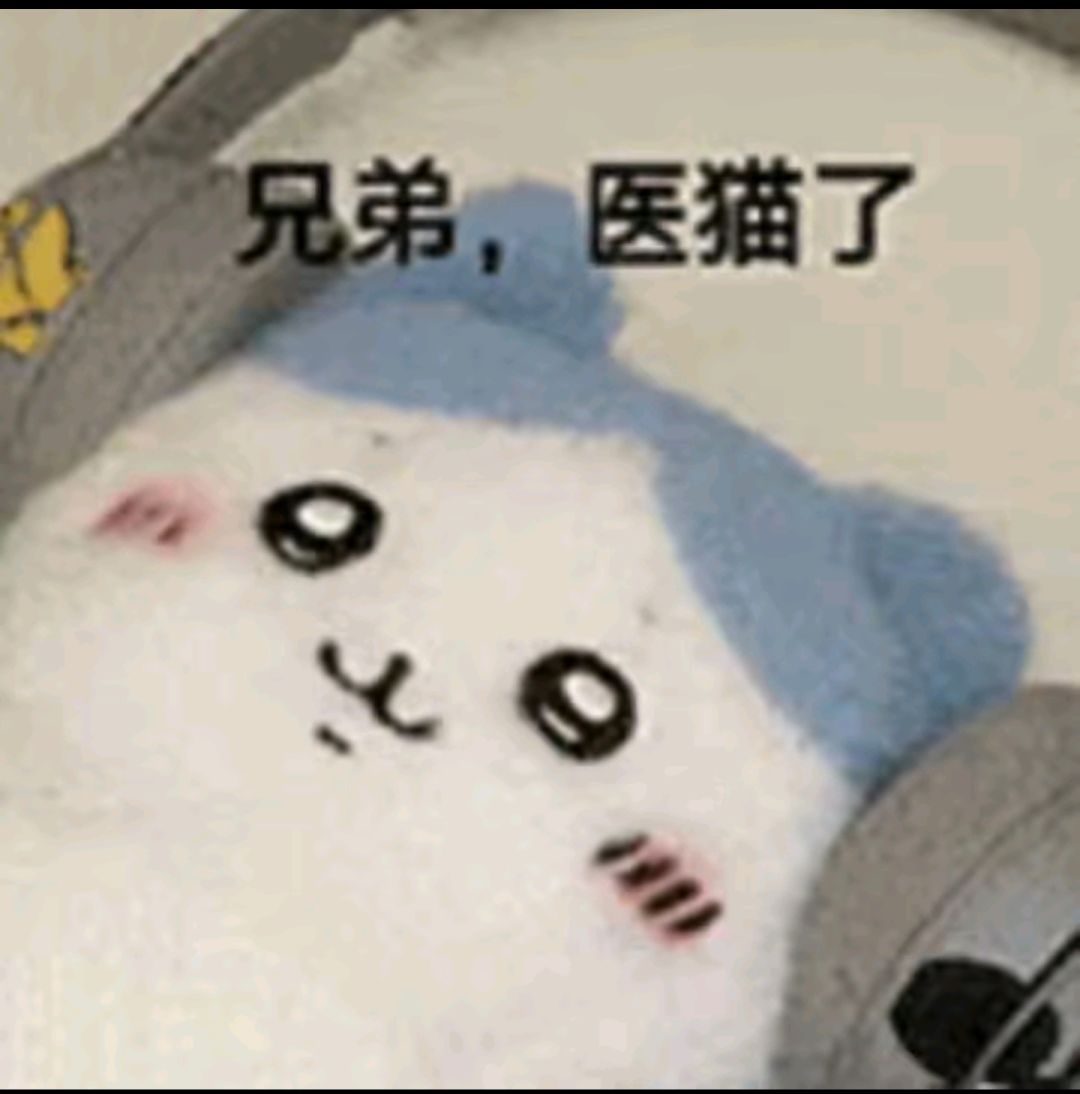 103服开那么久了吗?104是什么时候开? 1