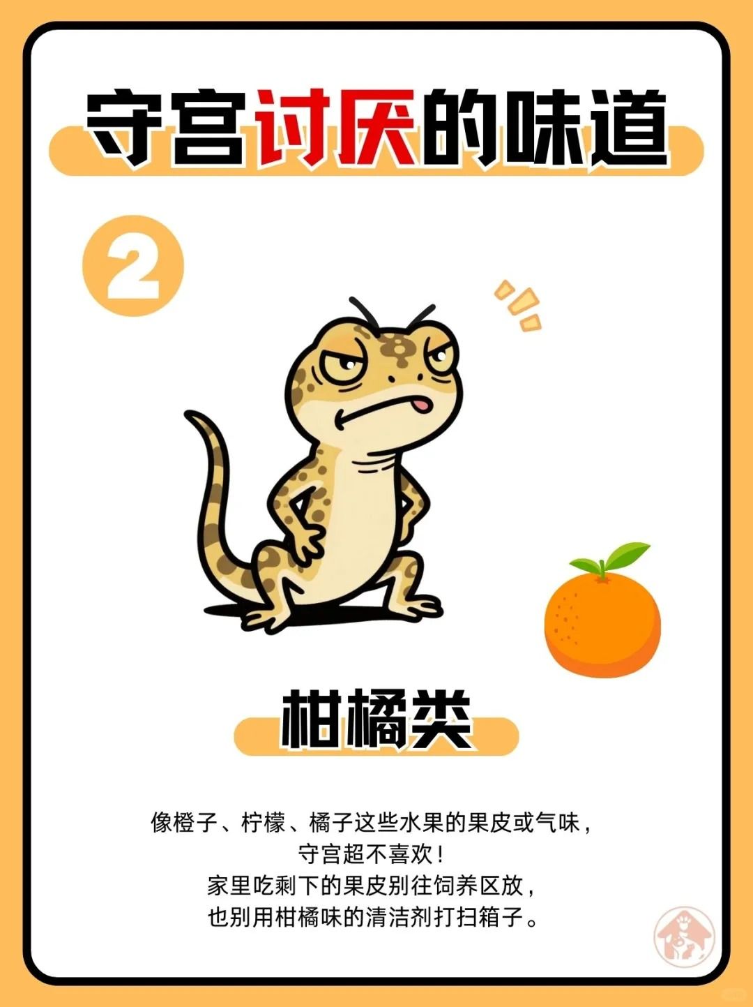 新手必看!守宫讨厌的六种味道! 3