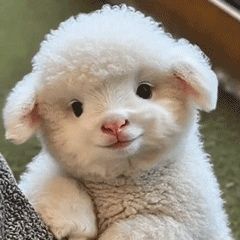 让我猜猜今天下午的体力盛宴还在吗截图