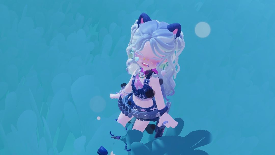 喵~ 2