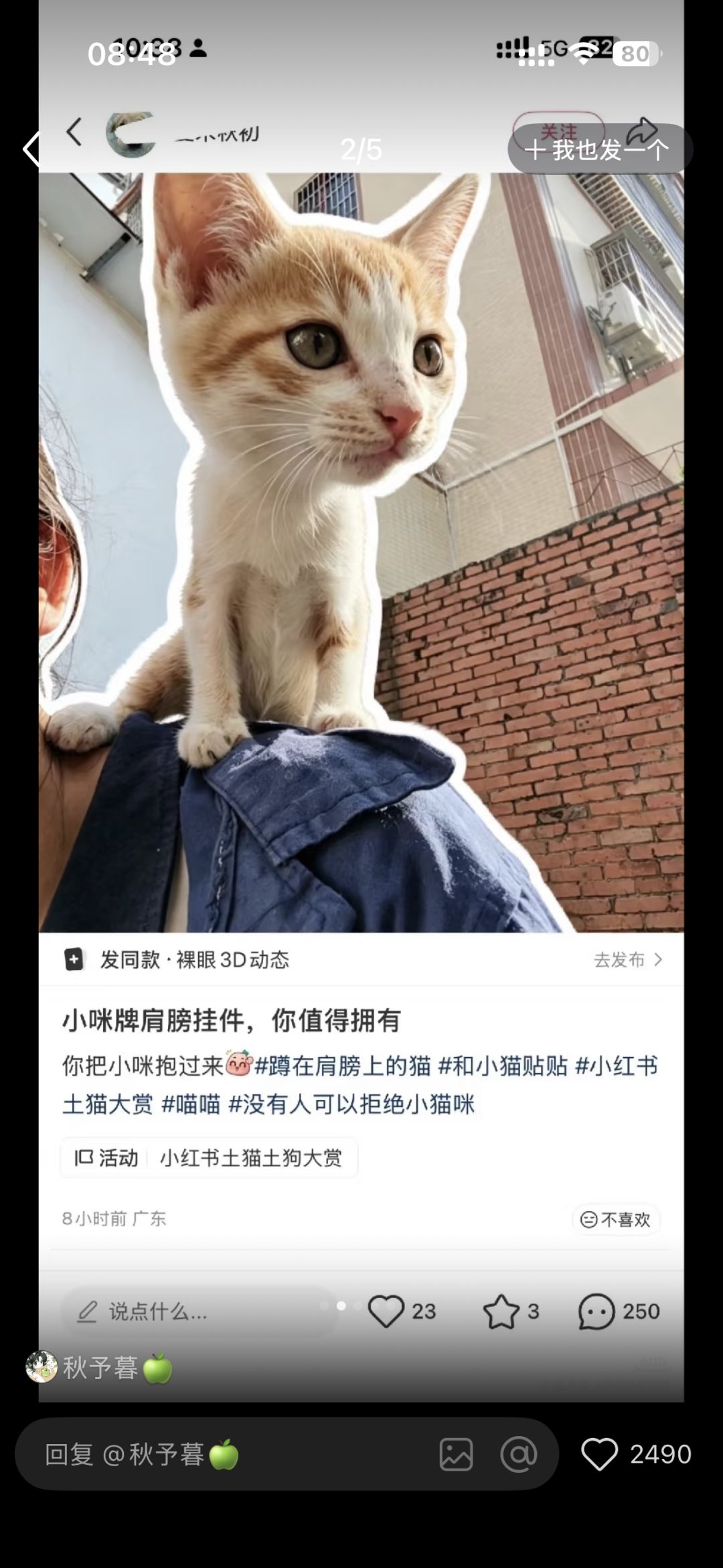 这就是深空的网暴社区 2