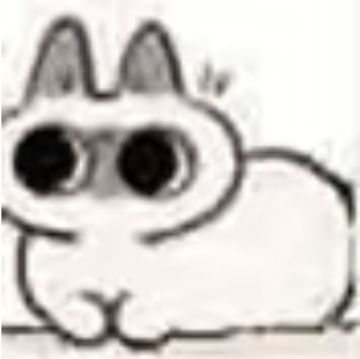 一个去年十月玩到现在的小登一些感受