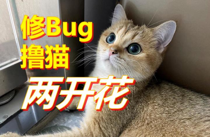 谁能修bug撸猫“两开花”？截图