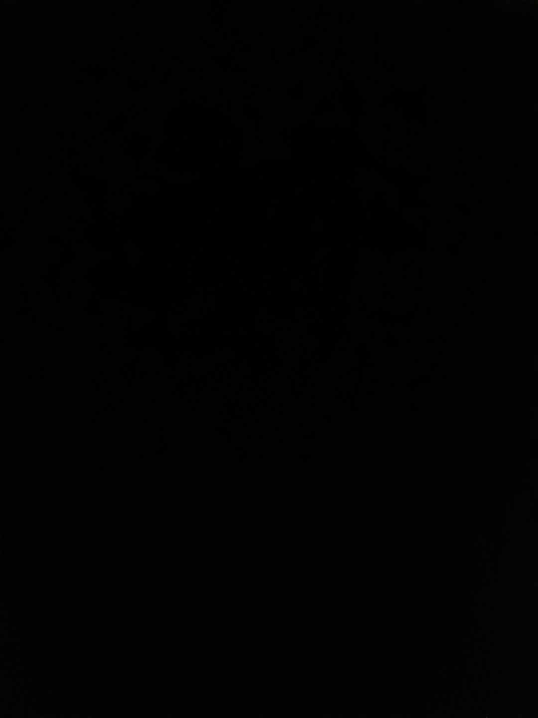 动态图片 4