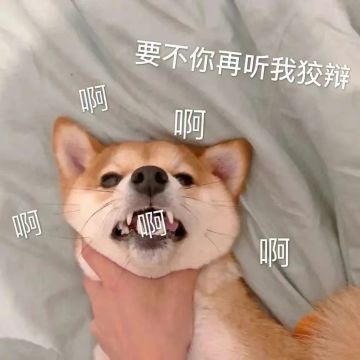 关于第15期签到中第三天的奖励