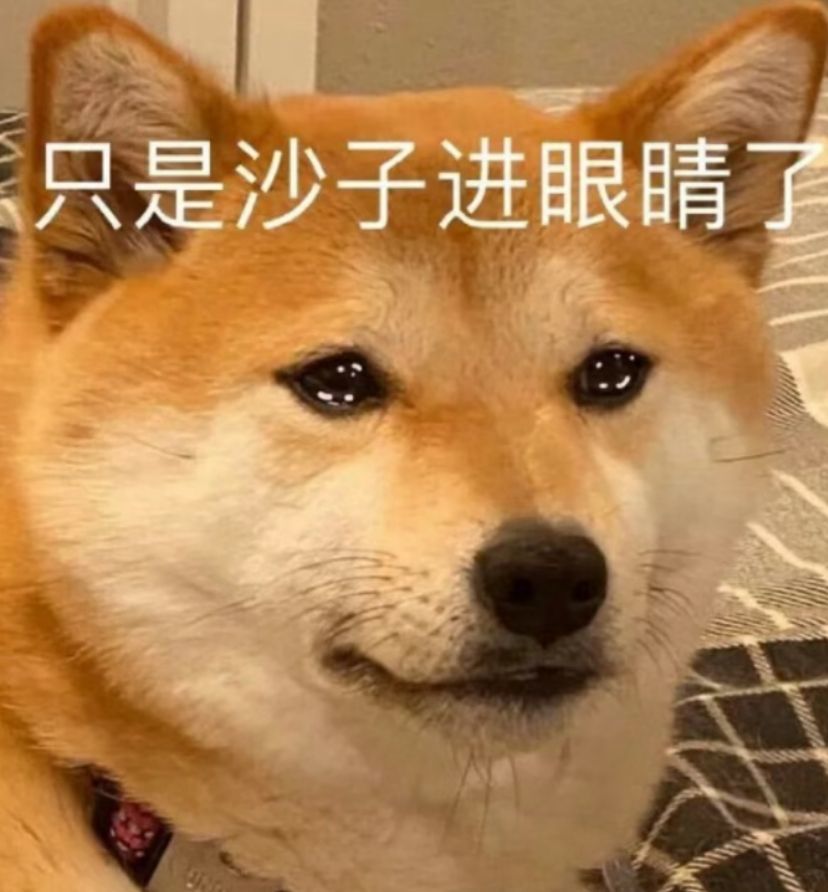 动态图片 5
