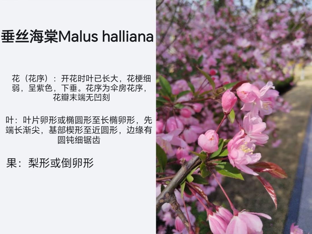 姗姗来迟地参与一下活动 3