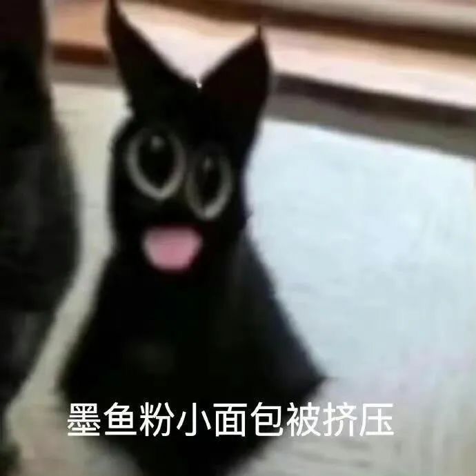 动态图片 4
