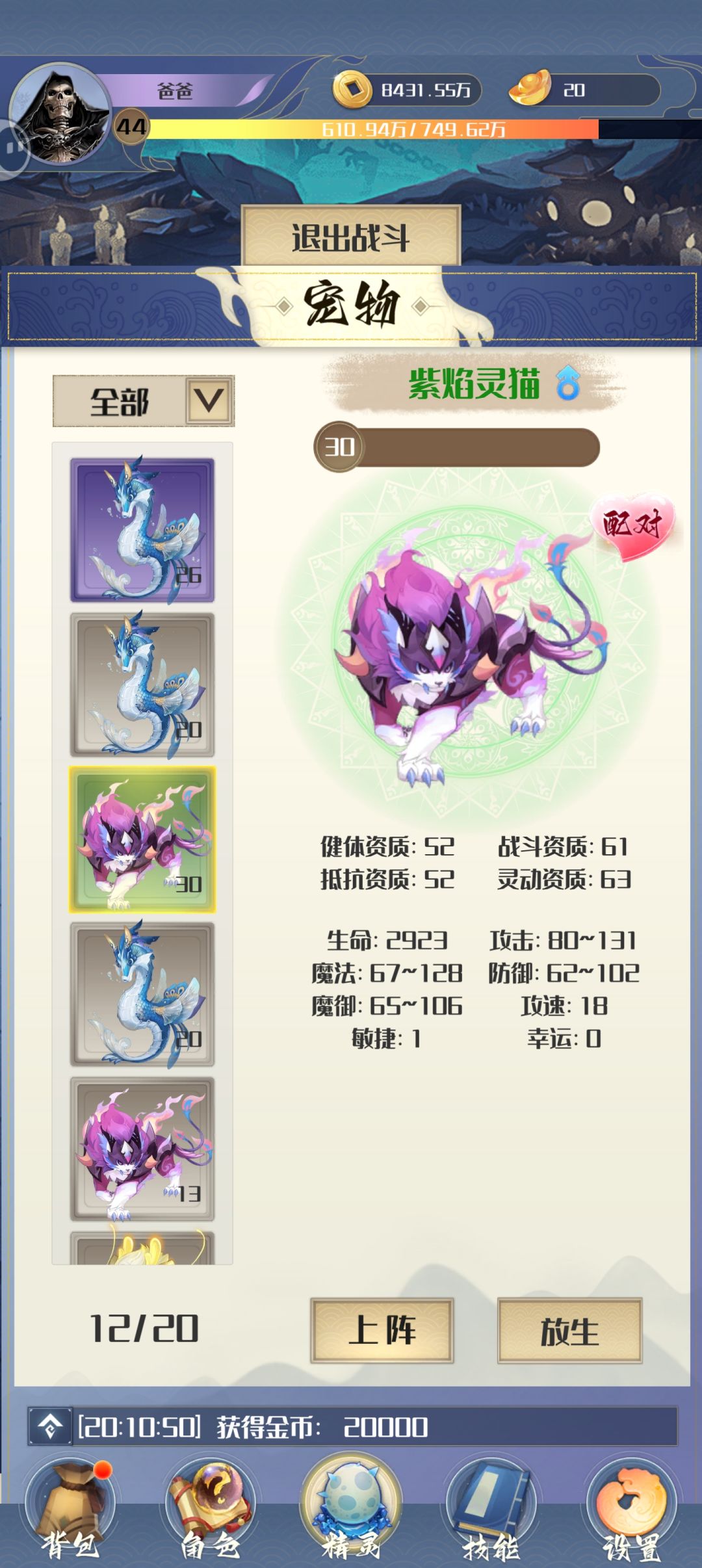 新手攻略–宠物、宝图 2