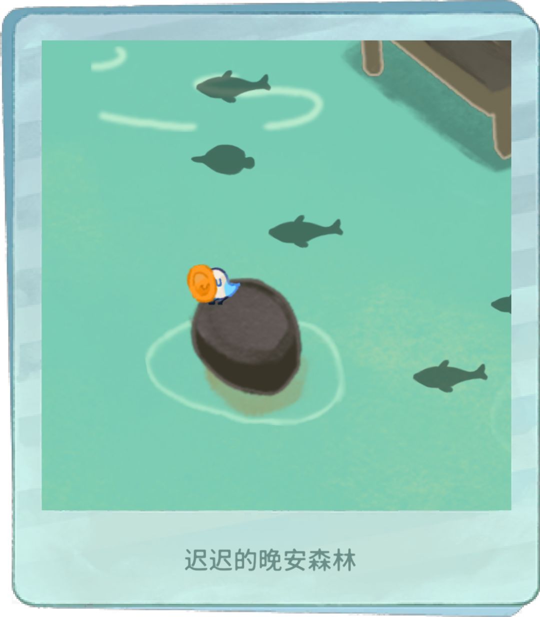 小动物赏 1