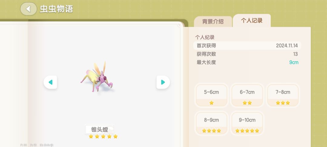 锥头螳 2