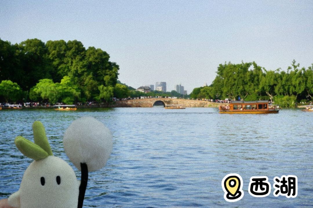 萝生是旷野~ 2