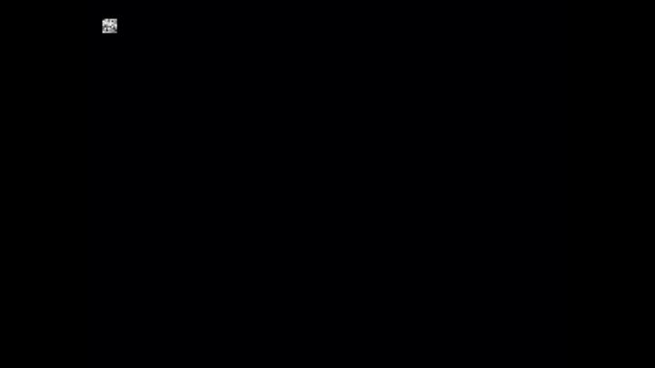 我是恺恺大小姐截图