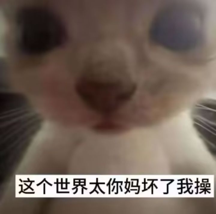 又又又招幽影和圣龙队友了截图