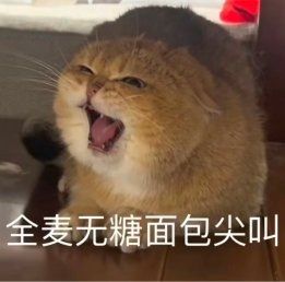 我也好像要鲨鱼妹啊截图
