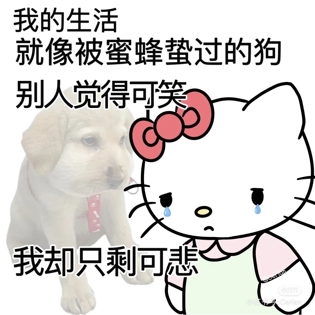 战地无疆倒闭以后,有没有代替玩的游戏 1