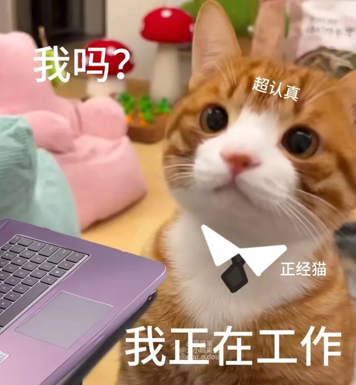 关于t职和奶职的建议以及界面ui截图