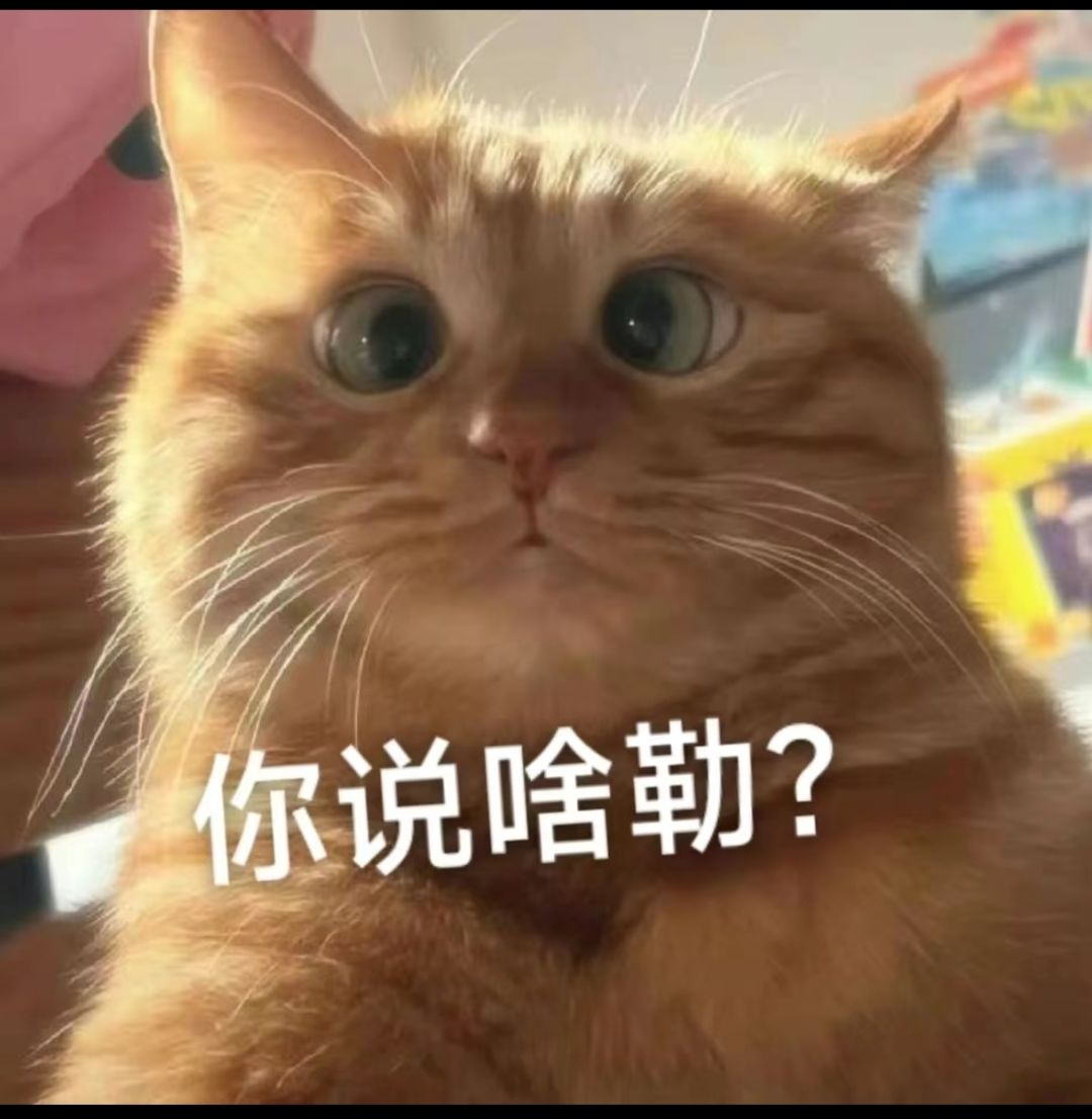 救命,更新以后小米微信登不进去了 1