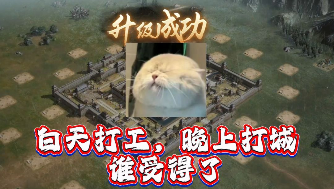 video-5784403